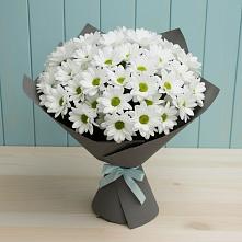 Букет цветов из:  Хризантемы в Алтайском