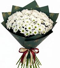 Букет цветов из:  Хризантемы #REPLACE_PRED# Алтайском