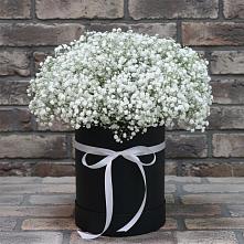 Цветочная композиция из Гипсофила в шляпной коробке в Алтайском